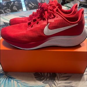 Nike Air Zoom Pegasus 37 TB